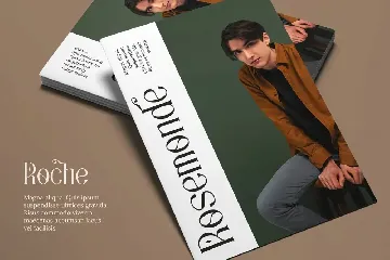 Quadrangle Stylish Serif font