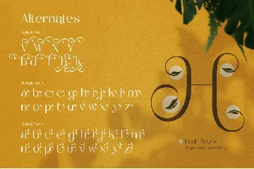 The Munday Typeface font