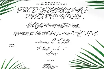 Maldives  Brush Script Signature font