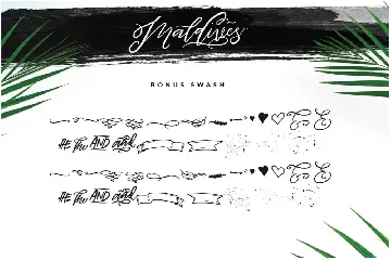 Maldives  Brush Script Signature font