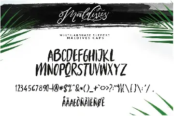 Maldives  Brush Script Signature font