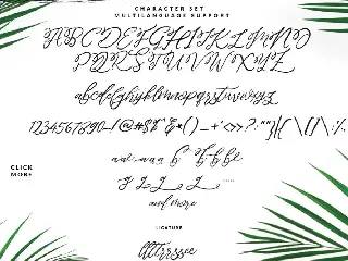 Maldives  Brush Script Signature font