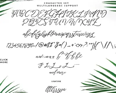 Maldives  Brush Script Signature font