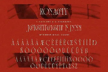 Ronachy A Display Serif Font LS