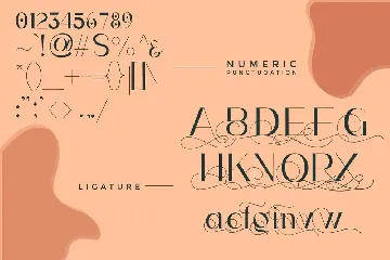 Brionna Luxury Serif Font