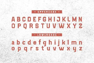 VAGUARD BASIC font