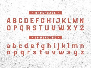 VAGUARD BASIC font