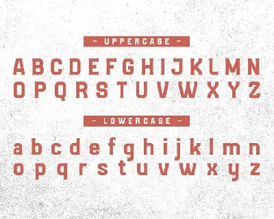 VAGUARD BASIC font