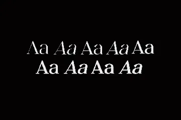 Lecherously Modern Serif Family Font