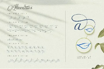 The Virnature Nature Script font