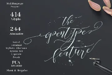 Be Grateful Script wedding Signature font