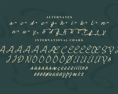 Badgerict Sogart Modern Calligraphy Font