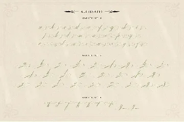 Mollani Nature Script font