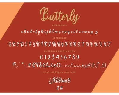 Butterly Calligraphy Business Font