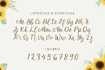 Andeeta font