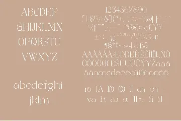 Magero Elegant Serif Font