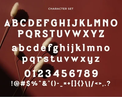 Bilanger - Modern Sans Serif font