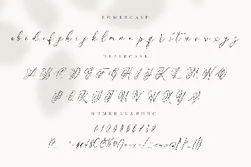 Anttelope Luxury Calligraphy font