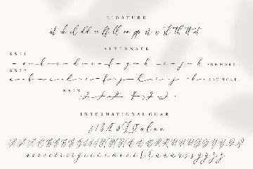 Anttelope Luxury Calligraphy font