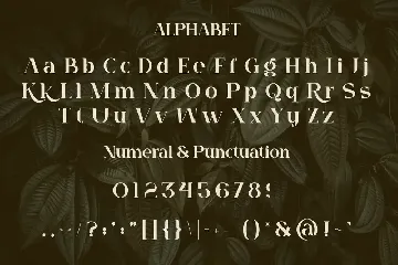 Quagi Font