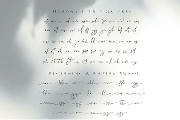 Cllarin - Modern Script Font