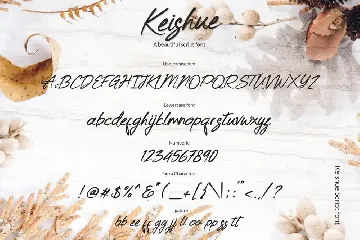 Keishue Script font YR