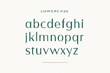 Derose Clean Modern Font