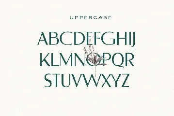 Derose Clean Modern Font