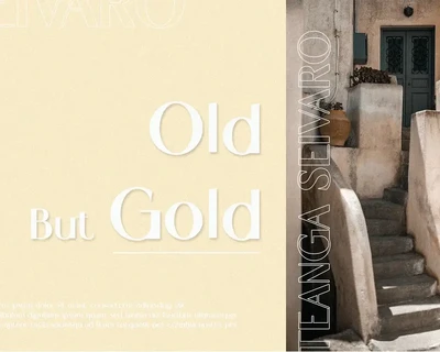 Dilovi Modern Ligature Sans Serif font