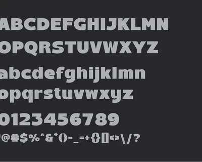 Saking - A Bold Sans Serif font