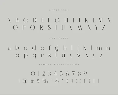 Gaolne Elegant Sans Serif Font