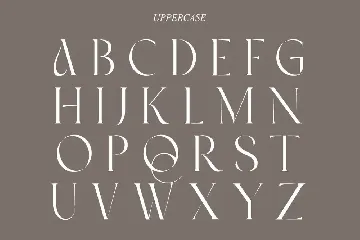 Ambrosia | Modern Serif font