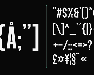 Singo | Sans Display Font