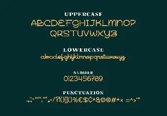 Naiyla Monoline Font