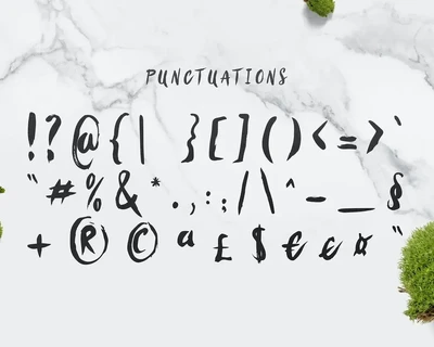 SanÃ¶s Brush Script Font