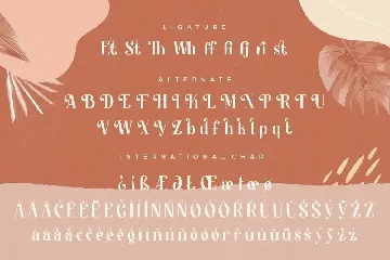 Kingstyle Elegant Serif font