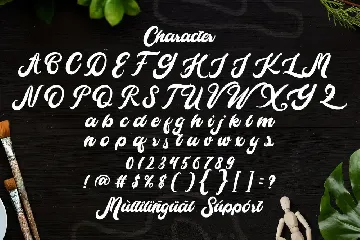 Cameliya - Bold Script Font