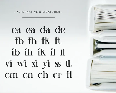 Boilvia Modern Serif Typeface font