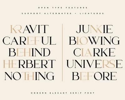 Lanche | Modern Elegant Serif Font