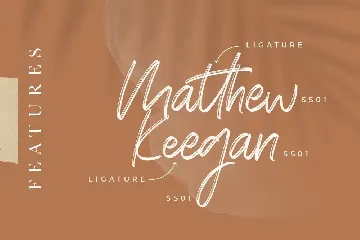 Brokllyng Brush Signature font