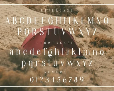 Angline Elegant Ligature Serif font