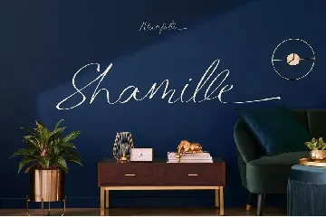 Manfollo Modern Script font