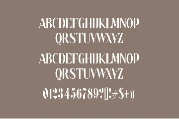 Thems Elegant Sans Serif Font