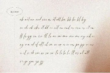 Beauty Handwriting - Wedding Font