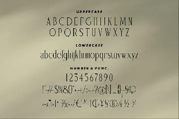 Saegathe Modern Serif Font