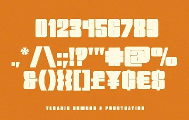 Tanaris - Modern Bold font