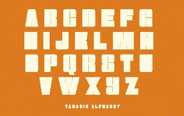 Tanaris - Modern Bold font