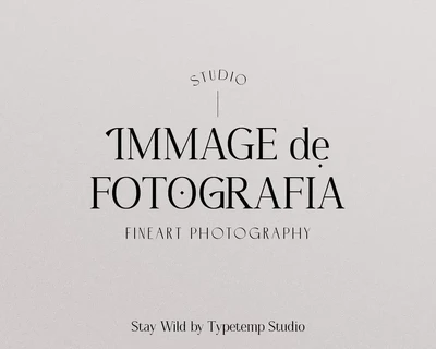 Stay Wild Serif Display font
