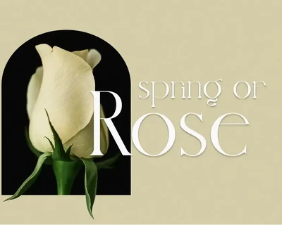 Nindea Modern Ligature Serif font