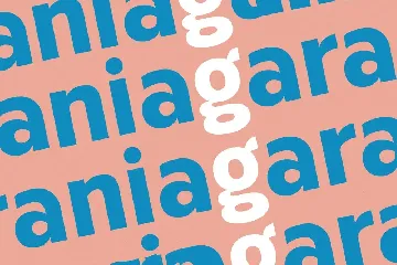 Bolga Display Sans Serif Font